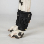 Back On Track Dog Leg Braces (Pair) Back On Track Dog Leg Braces (Pair)